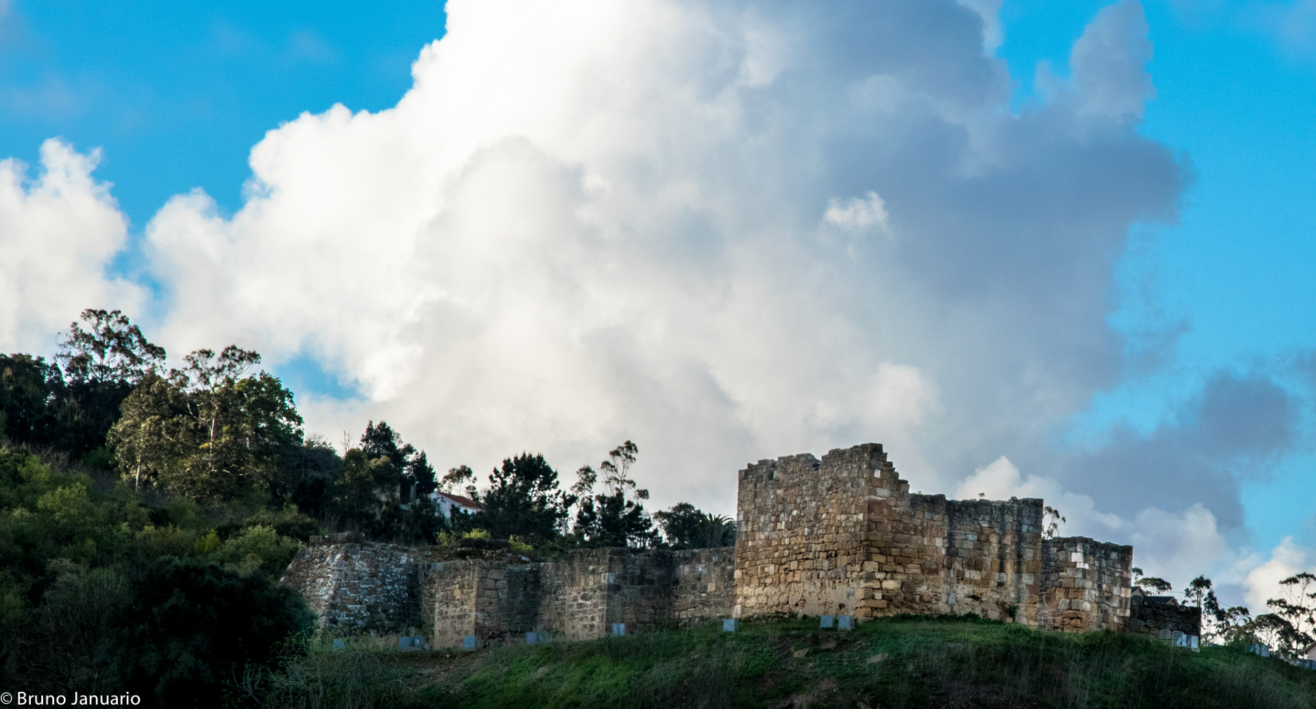 Castelo de Alcobaça, Alcobaca
