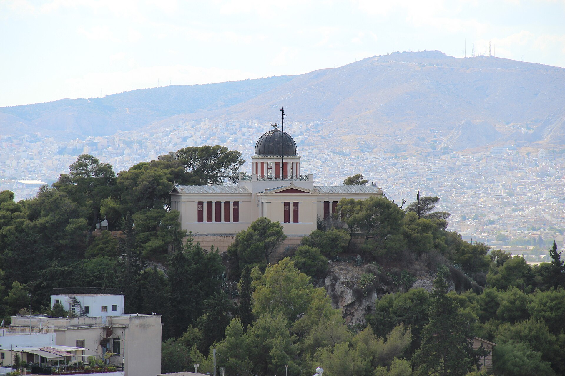 Athene