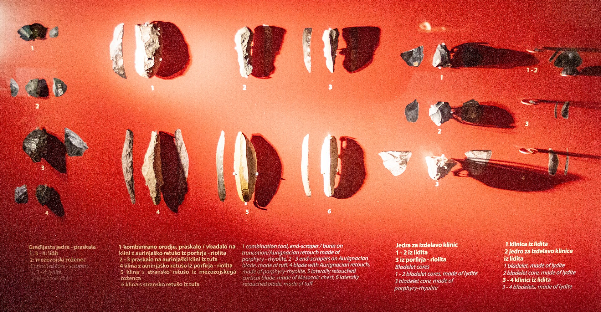 Regional Museum of Celje, Celje