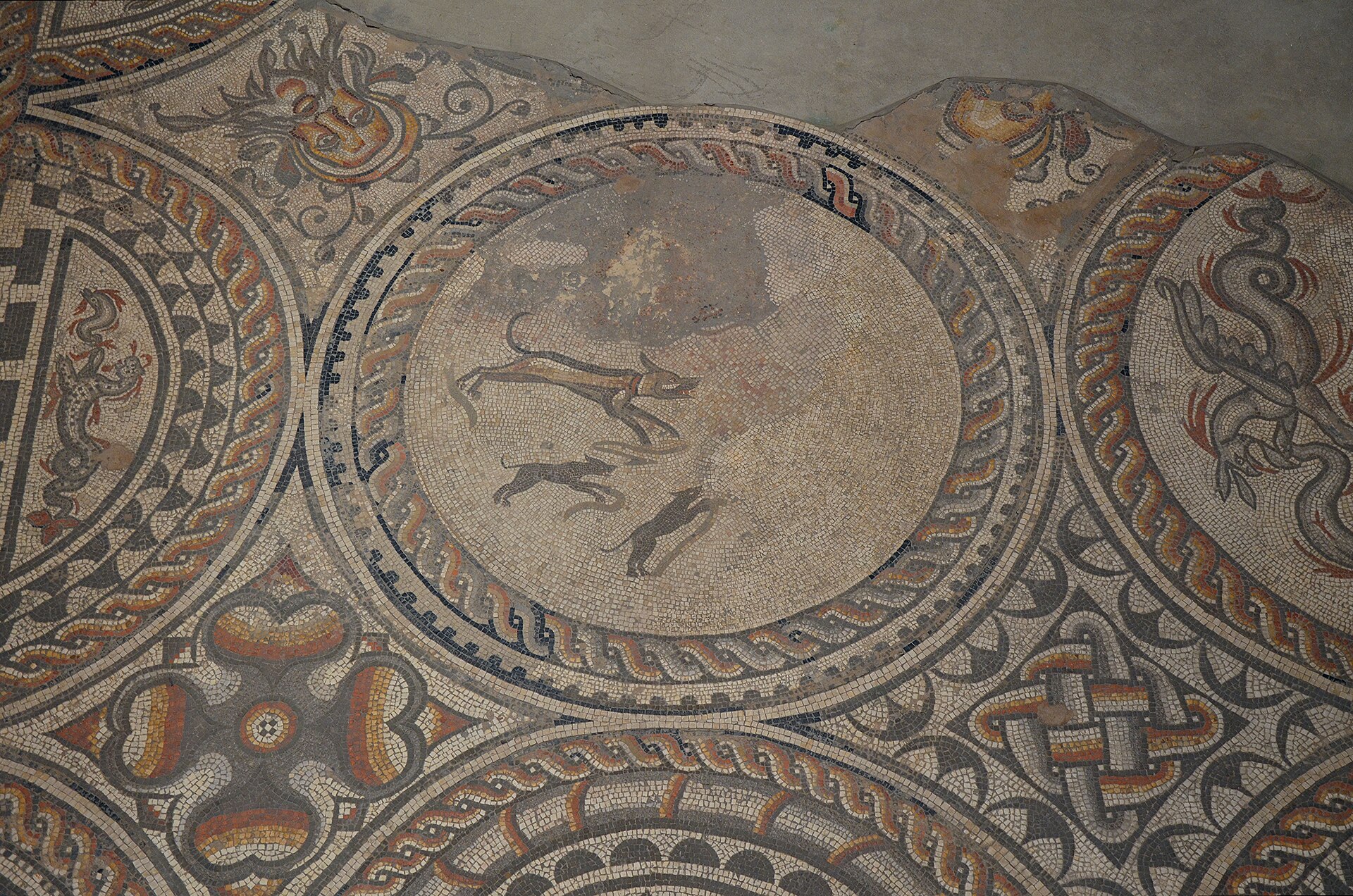 Corinium Museum, Cirencester