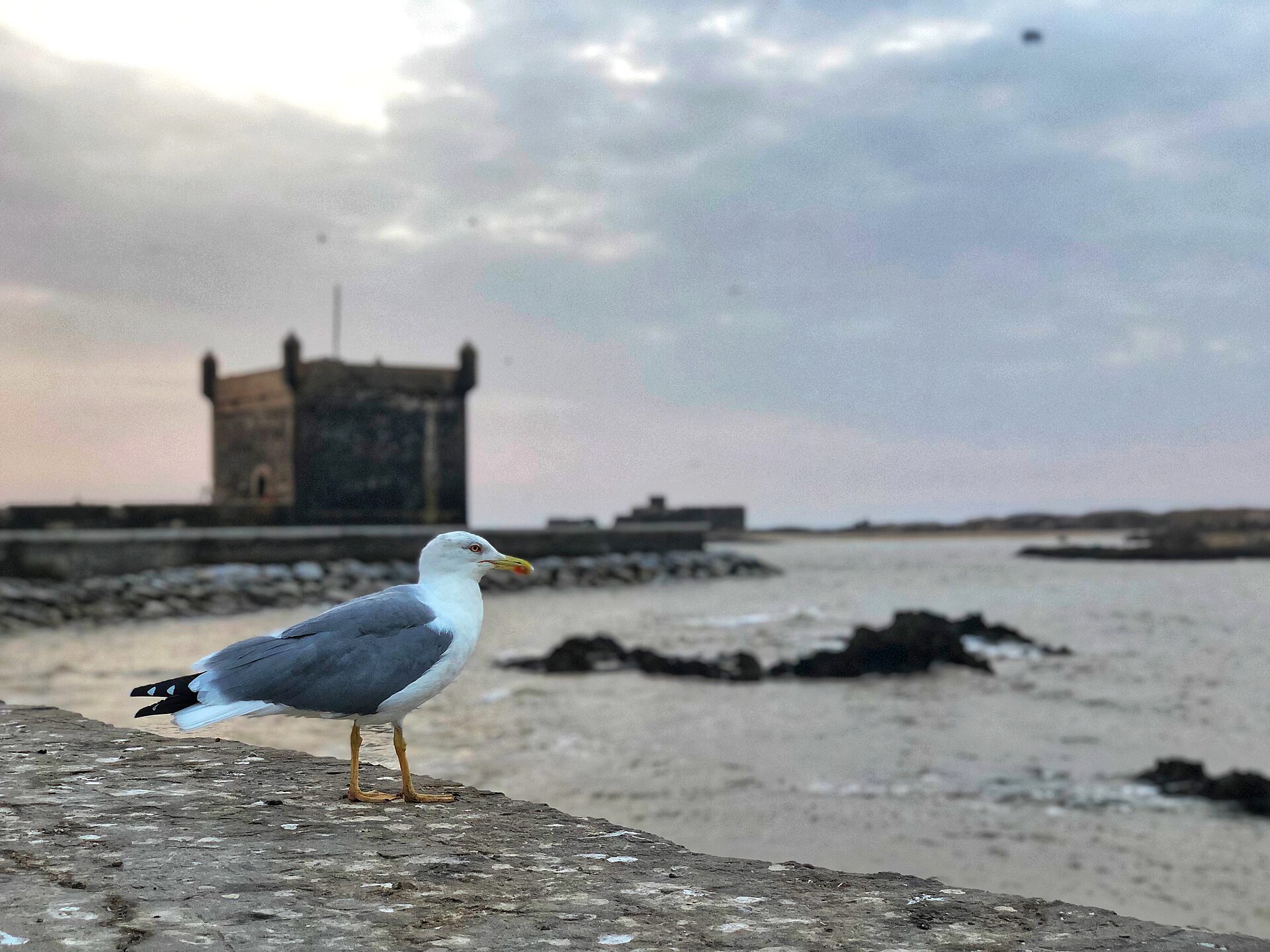 Skala de la Ville, Essaouira