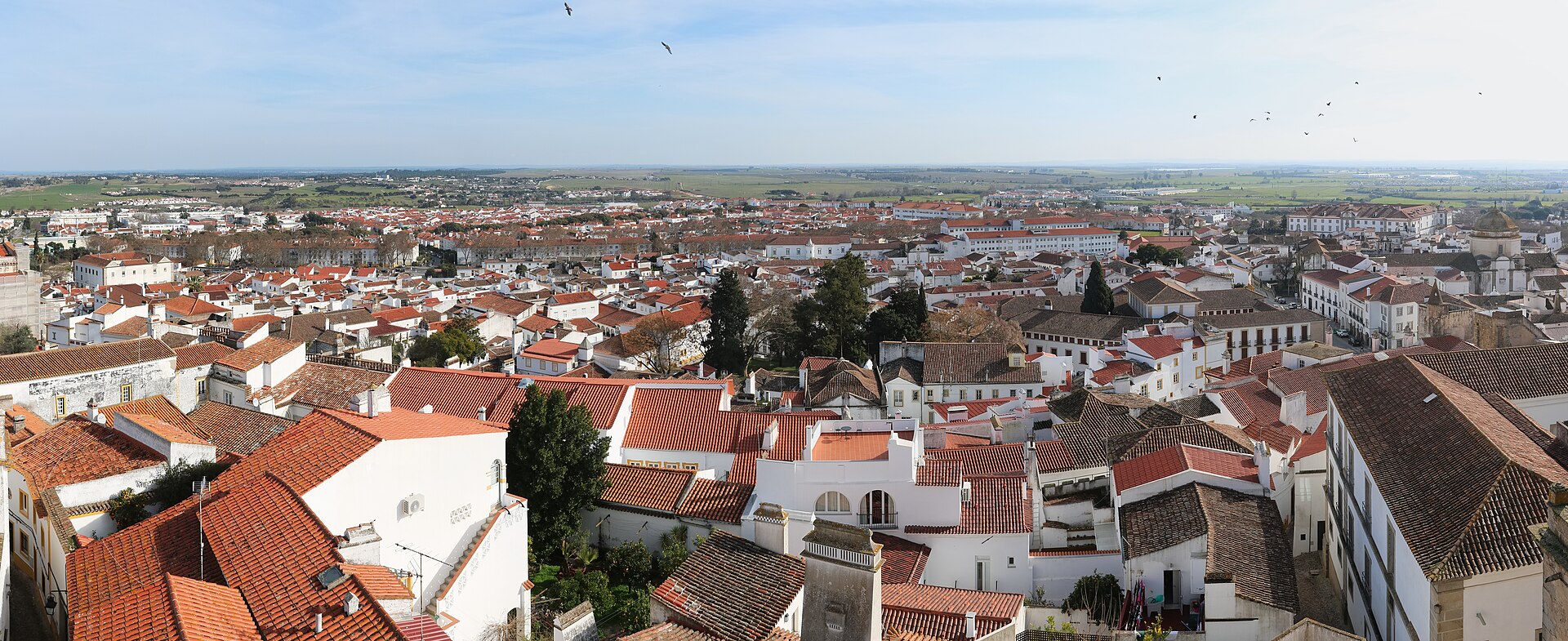 Evora