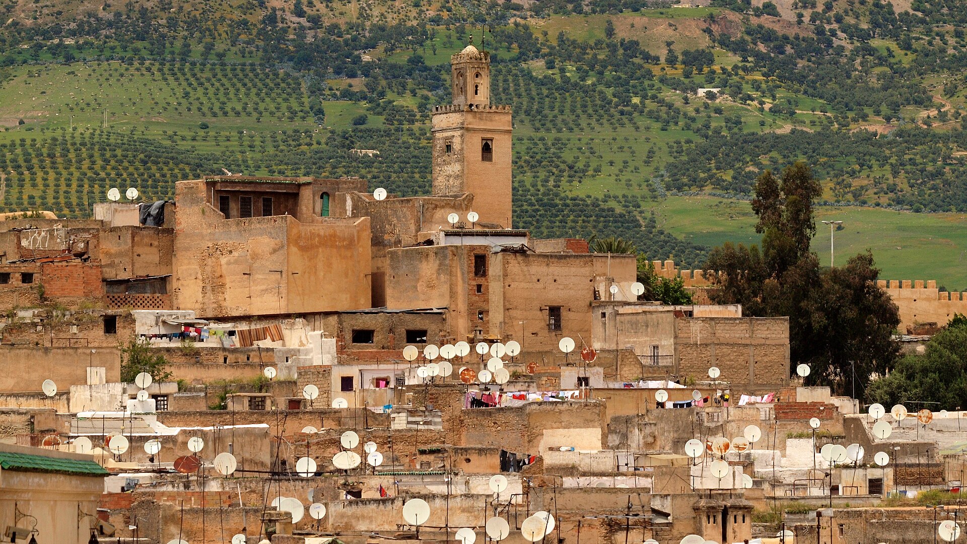 Fez