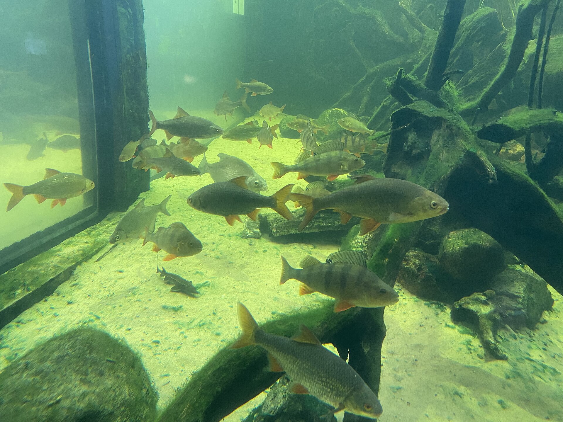 Universeum, Gothenburg
