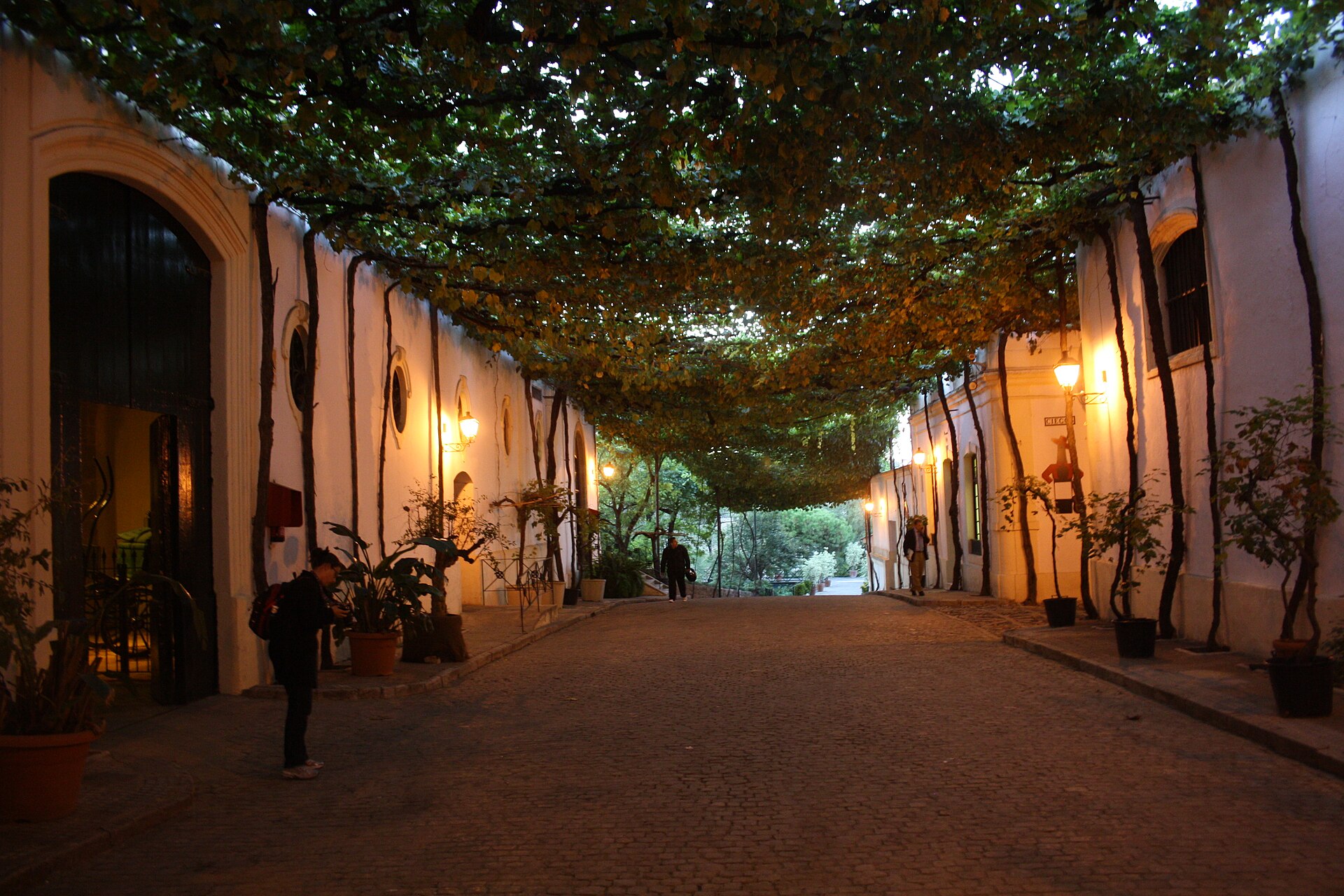 Bodega Tio Pepe, Jerez de la Frontera