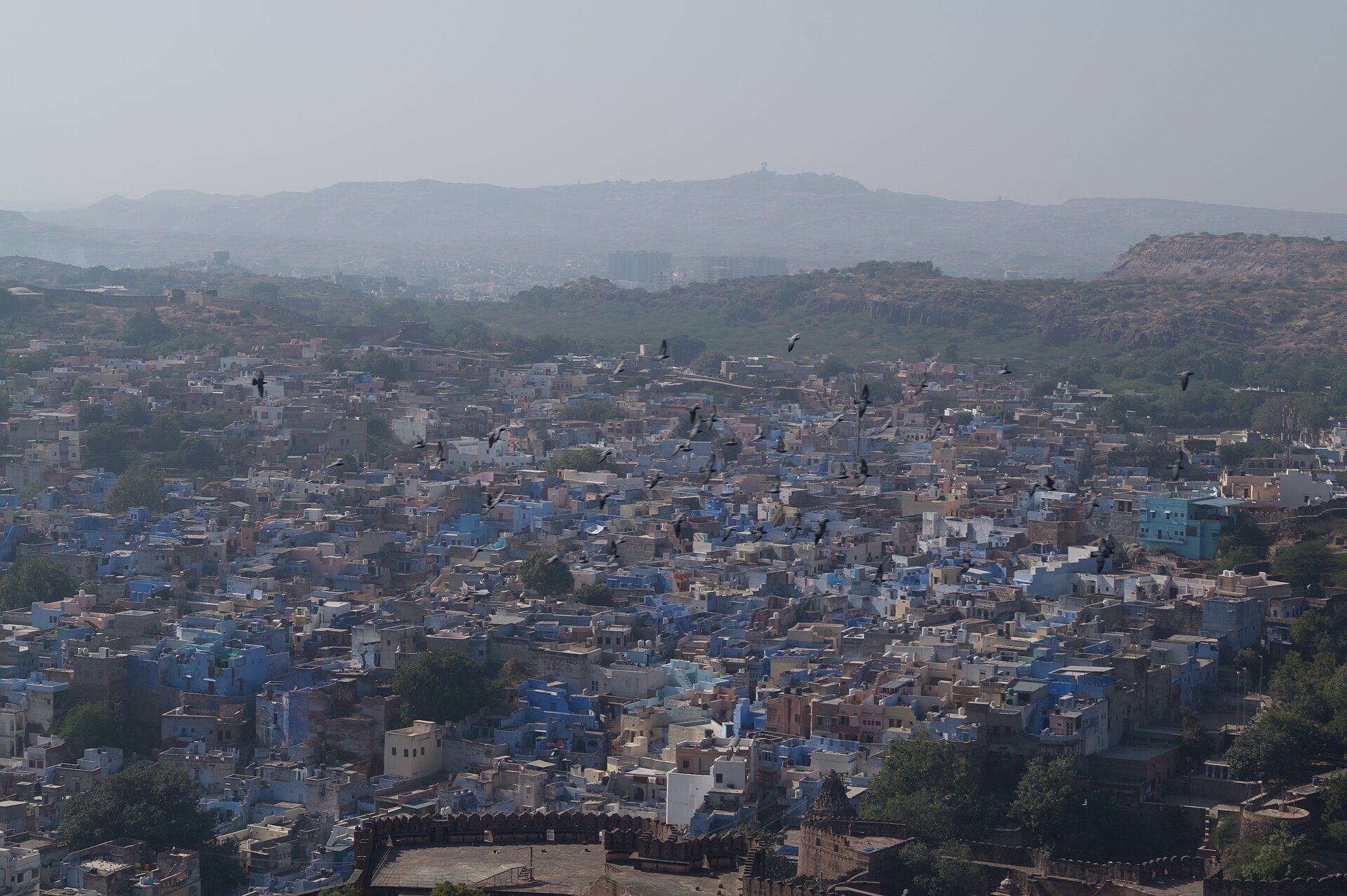 Jodhpur