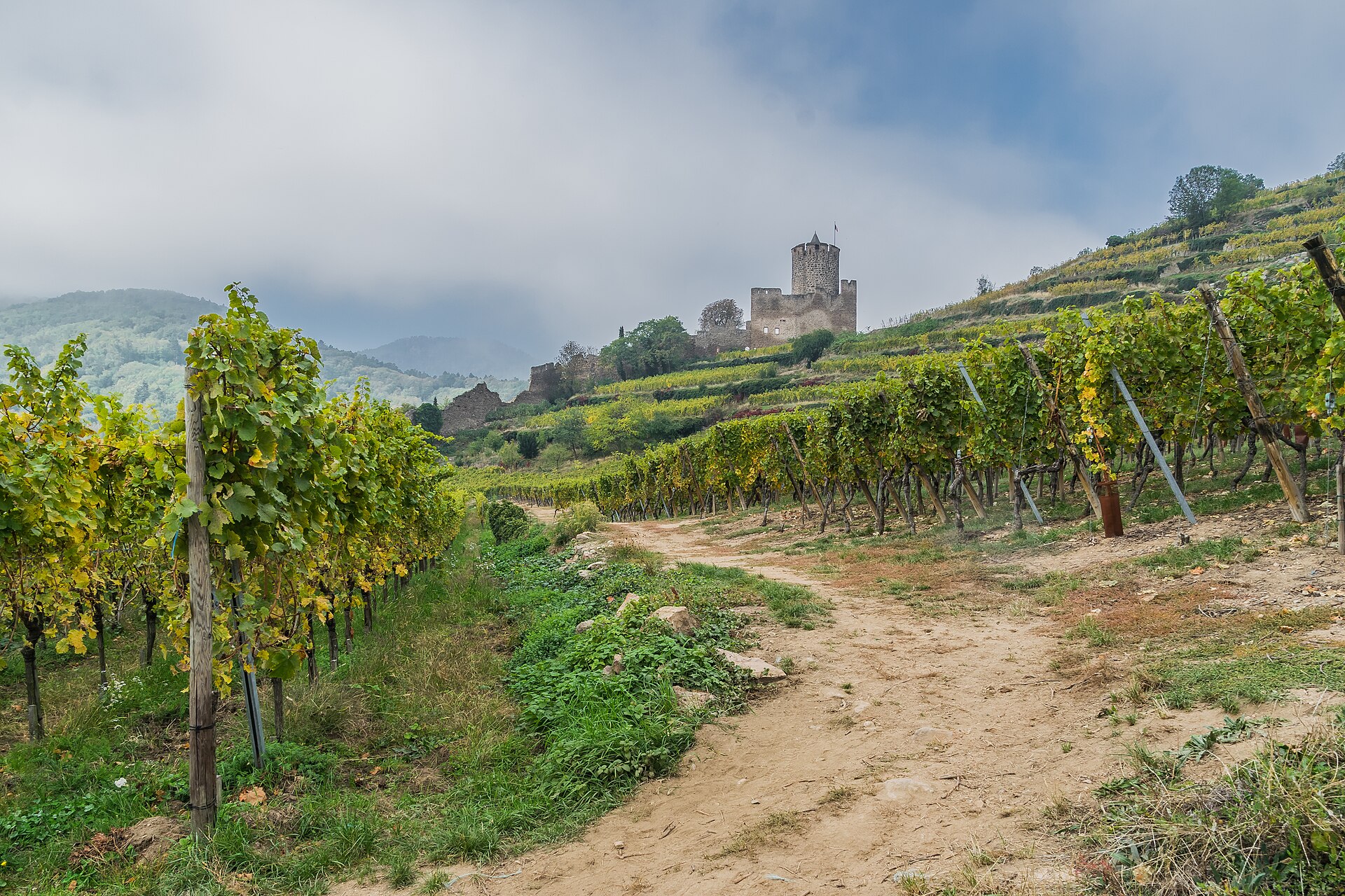 Château de Kaysersberg, Kaysersberg