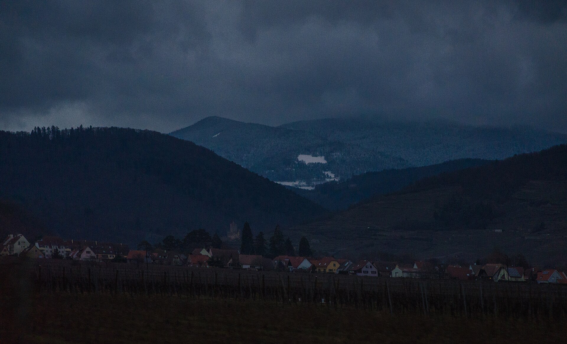 Panorama des vignes sur la ville de Kaysersberg, Kaysersberg