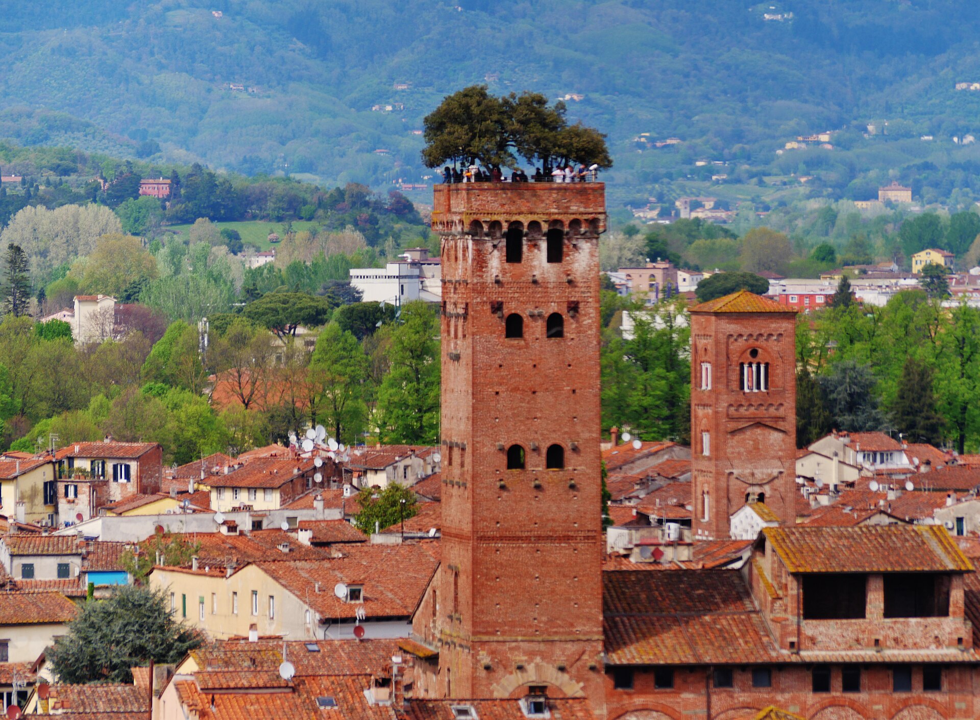 Guinigi Tower, Lucca