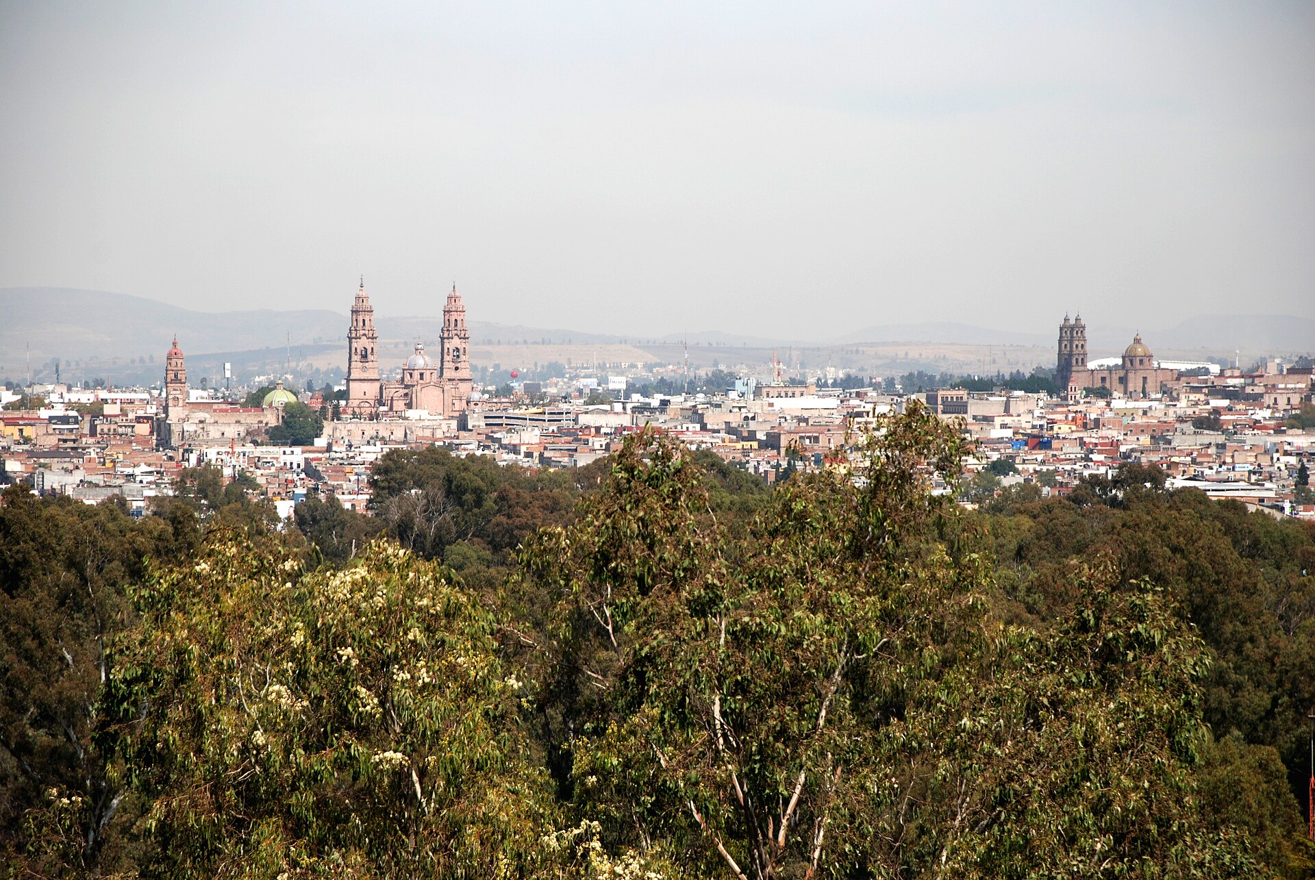 Morelia