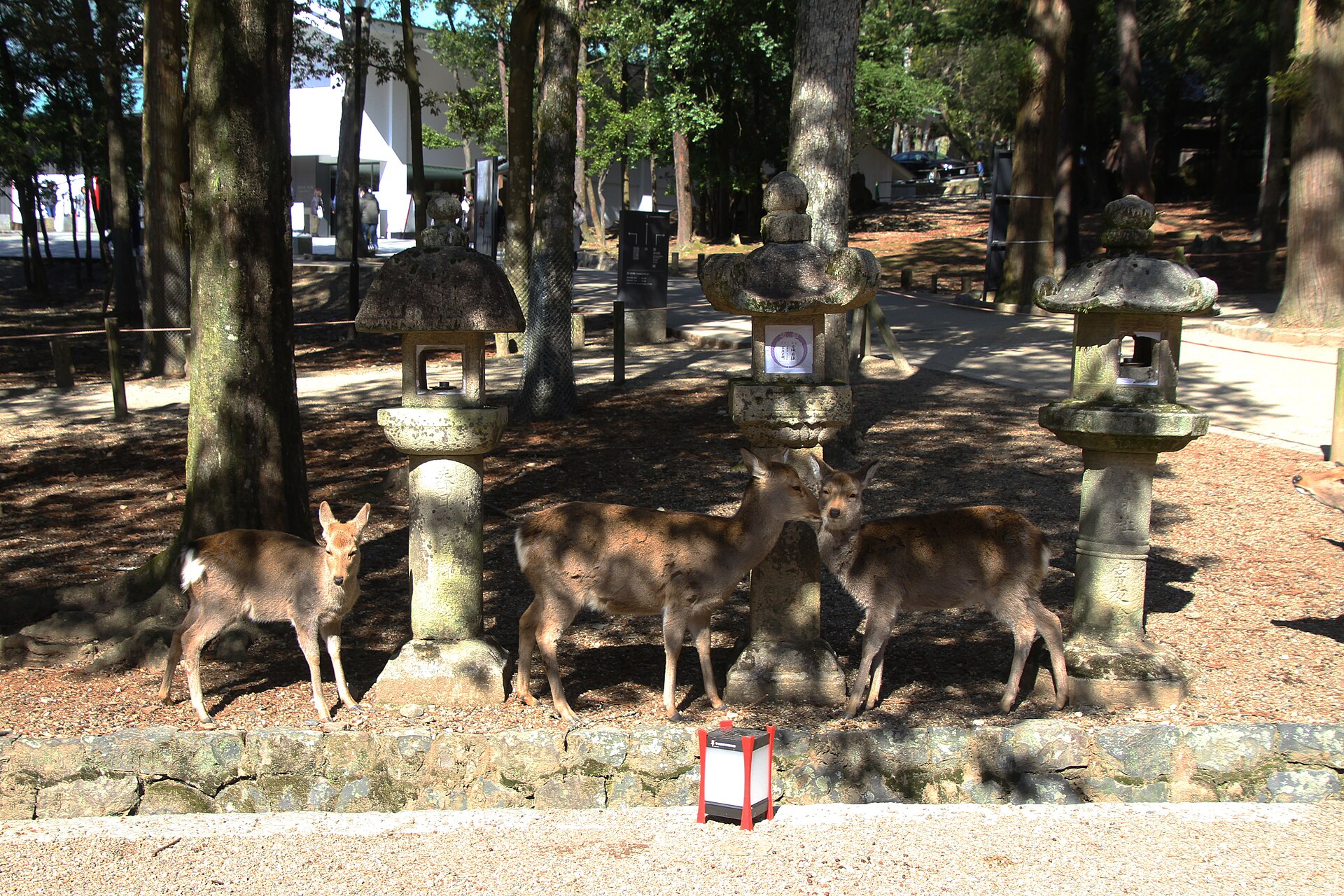 Kasugataisha Shrine, Nara