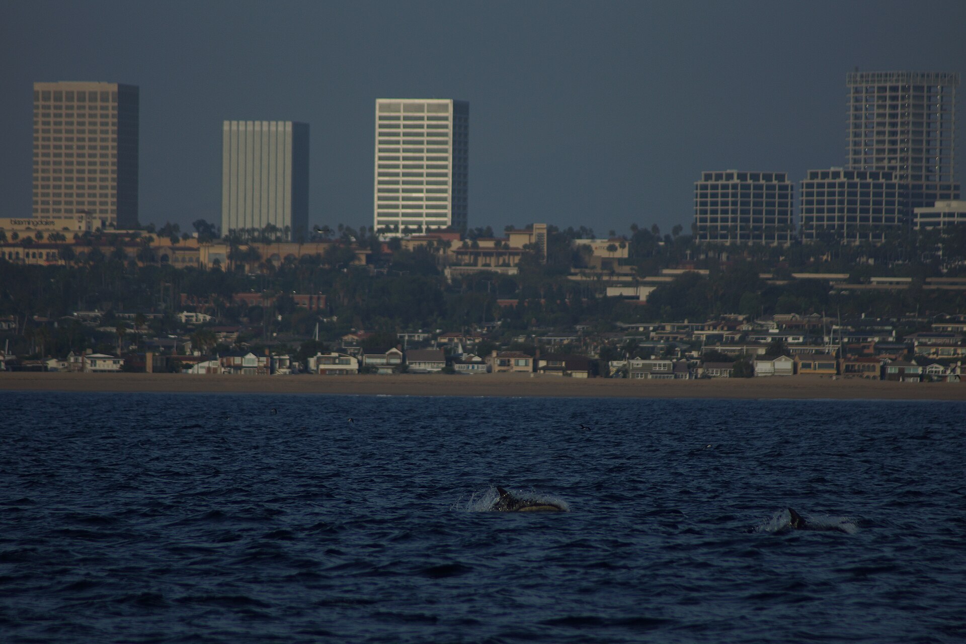 Newport