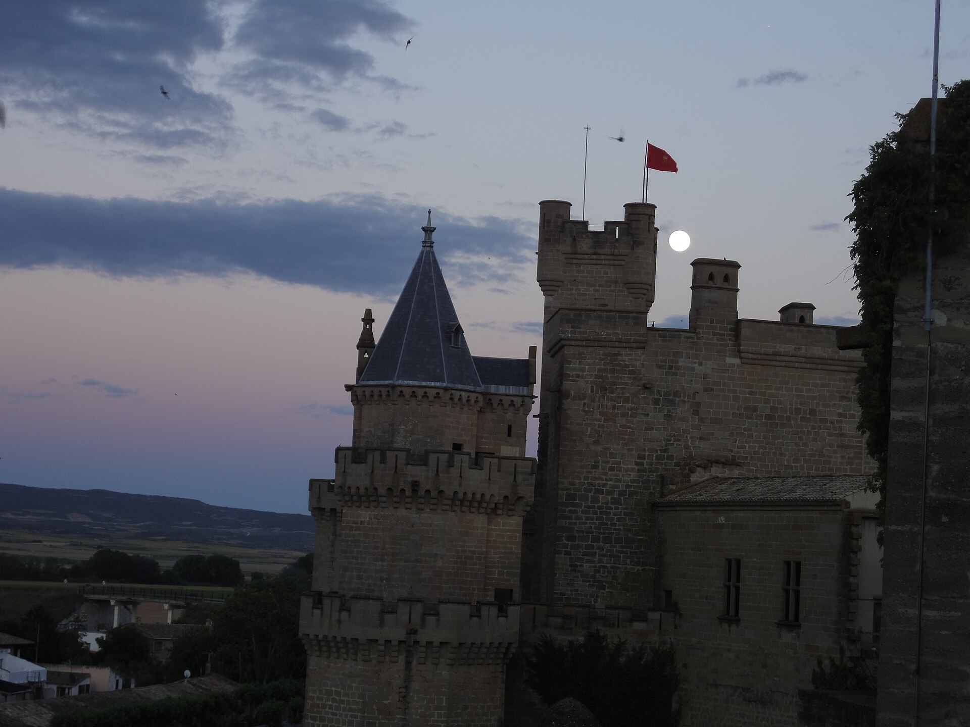 Royal Palace of Olite, Olite