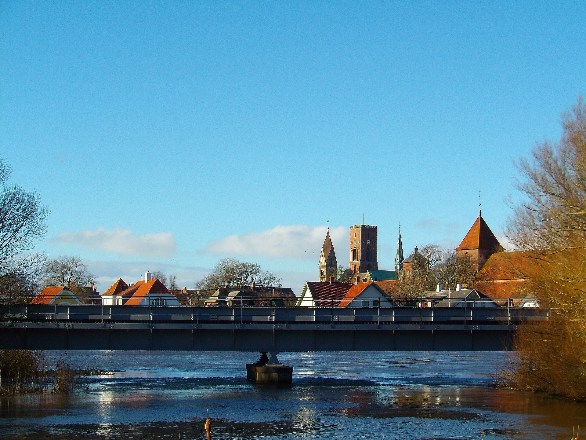 Ribe