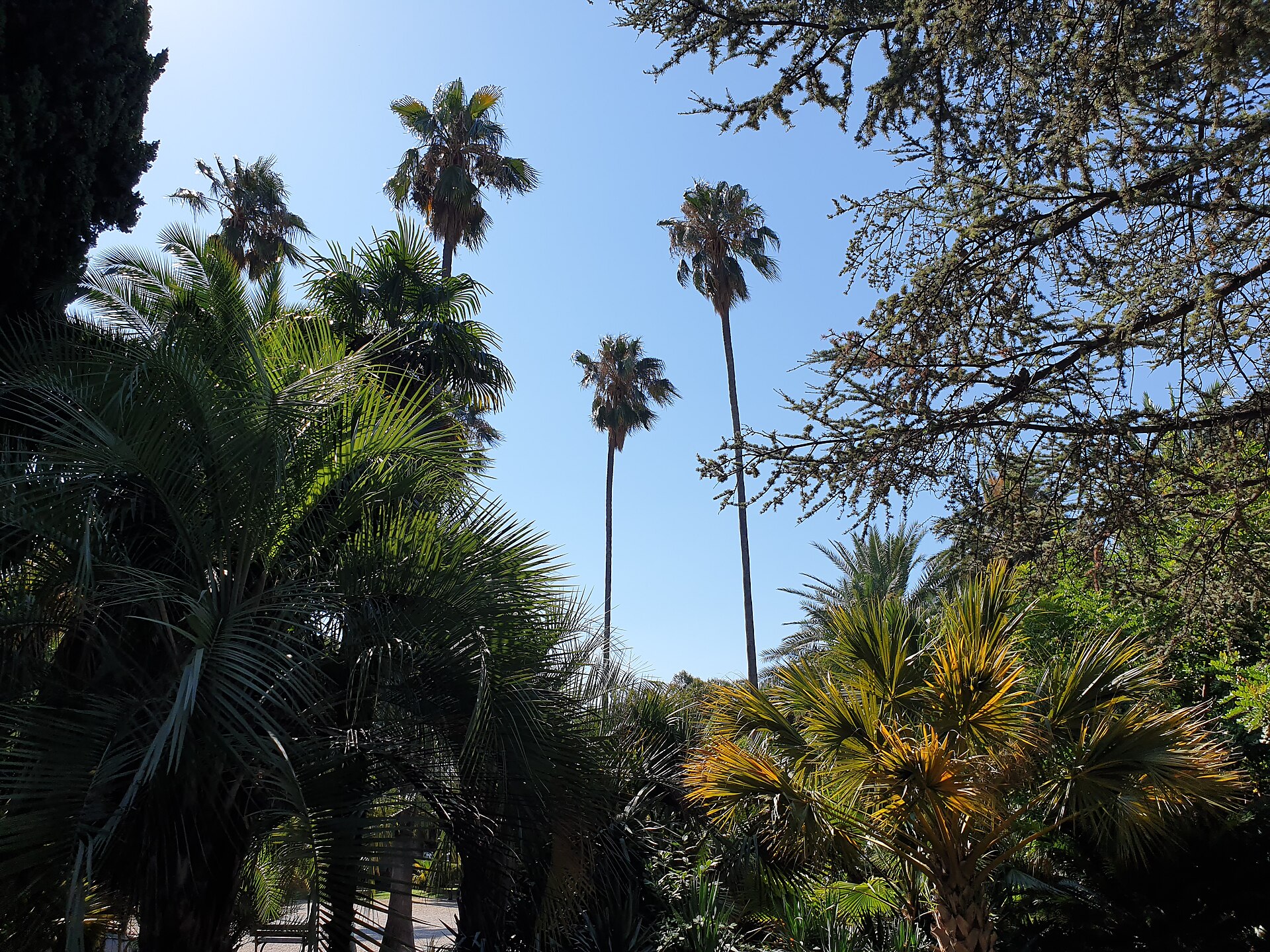Villa Ormond, Sanremo