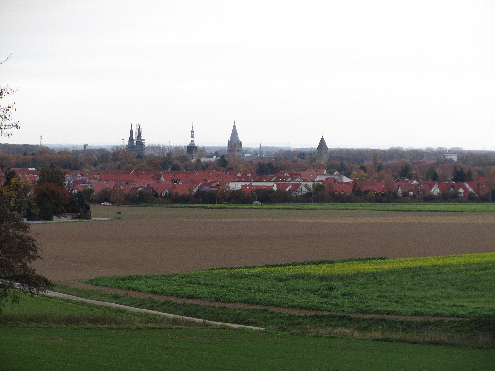 Soest