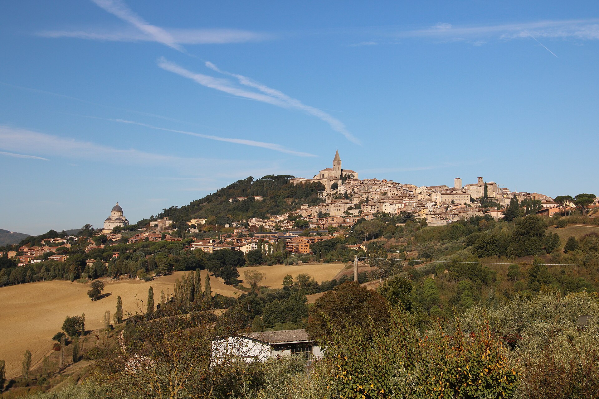 Todi