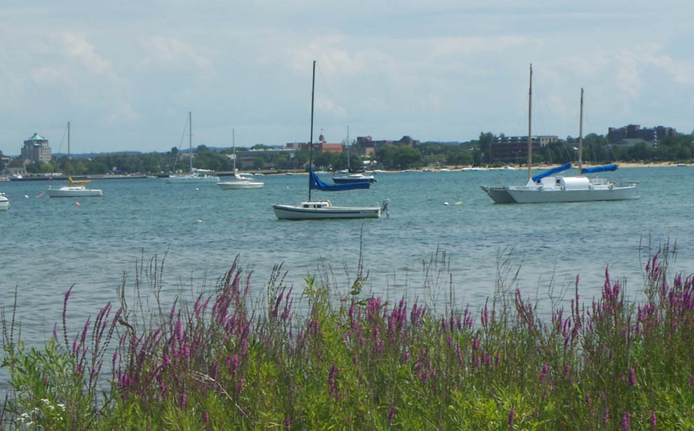 Traversecity