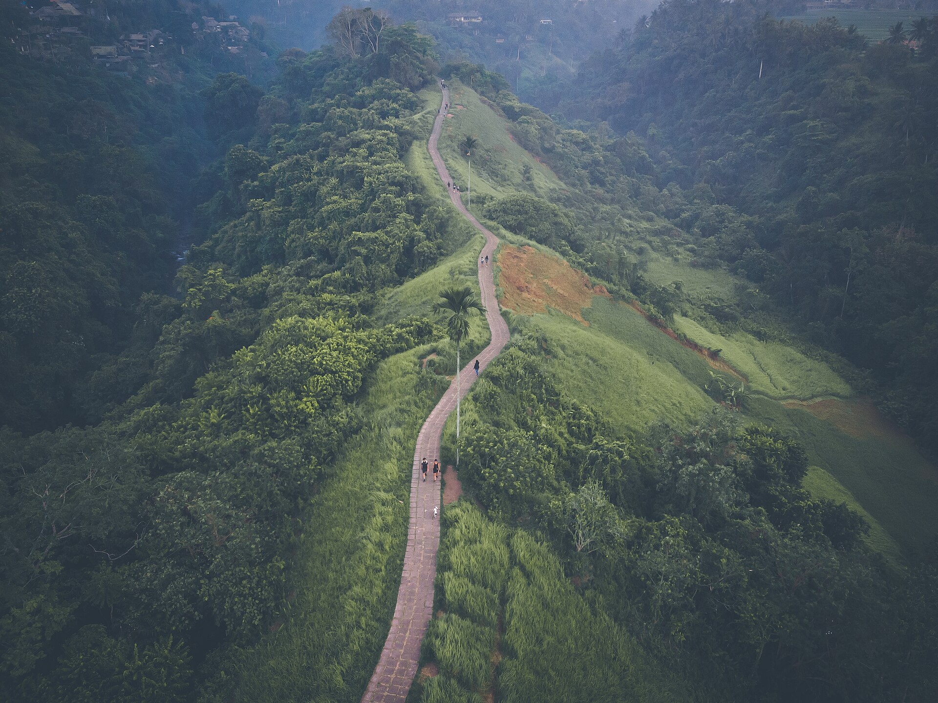 Campuhan Ridge Walk, Ubud