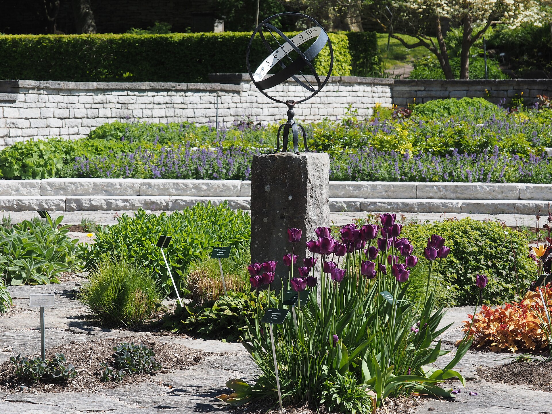 DBW's Botanical Garden, Visby