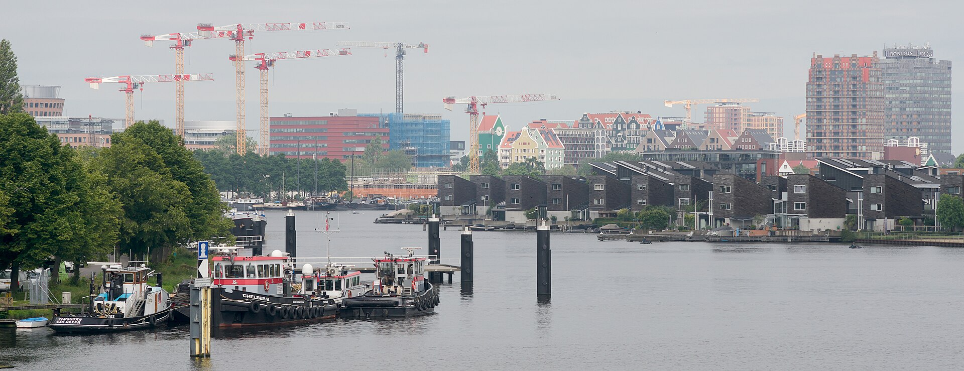 Zaandam