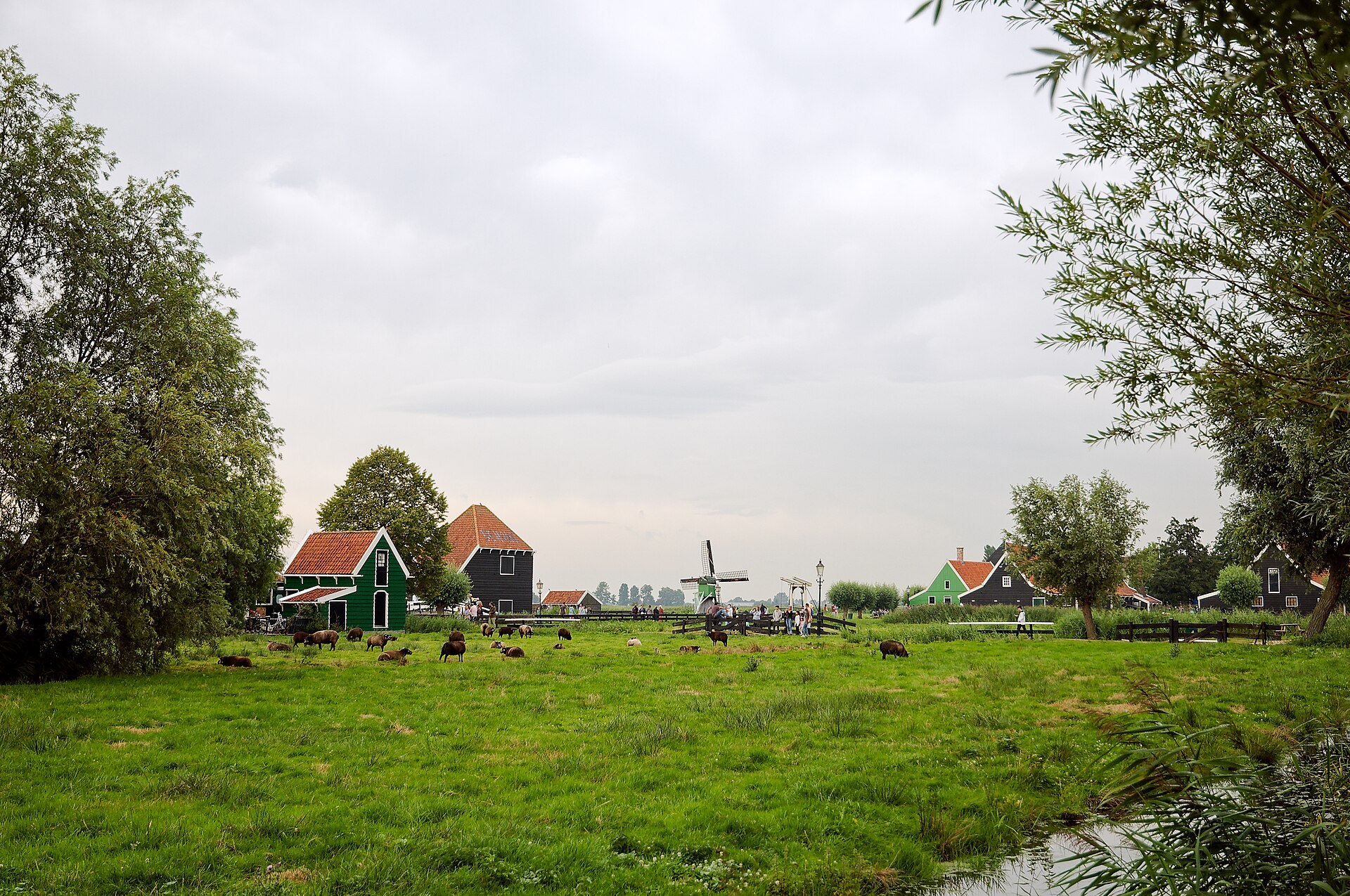 Molen De Hadel, Zaandam